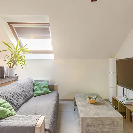 Pres Europa-park Rulantica 30 Min Lägenhet Erstein