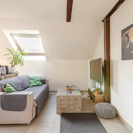 Pres Europa-park Rulantica 30 Min Lägenhet Erstein