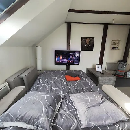 Lägenhet Pres Europa-park Rulantica 30 Min